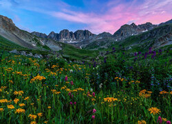Stany Zjednoczone, Kolorado, San Juan Mountains, Góry, Polana, Kwiaty, Skały, Niebo, Łąka