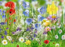 Kolorowe kwiaty na łące w grafice 2D