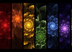 Kolorowe kwiaty w abstrakcji