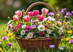Kolorowe kwiaty w wiklinowym koszyku na łące