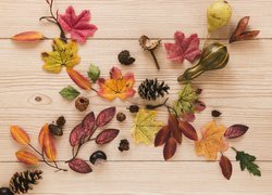 Jesień, Kolorowe, Liście, Szyszki, Kasztany, Żołędzie, Dynie, Deski