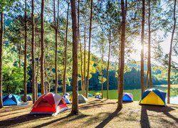 Kolorowe namioty pośród drzew nad jeziorem Pang Oung