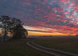 Kolorowe niebo nad drogą polną