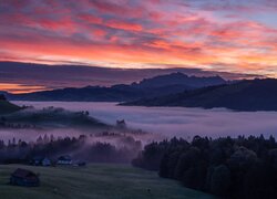 Kolorowe niebo nad górami i gęsta mgła nad drzewami w dolinie