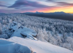 Kolorowe niebo nad górami i zaśnieżonym lasem