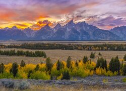 Park Narodowy Grand Teton, Góry, Teton Range, Drzewa, Zachód słońca, Stan Wyoming, Stany Zjednoczone