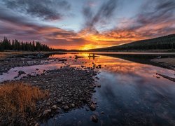 Kamienie, Drzewa, Wschód słońca, Jezioro, Brainard Lake, Kolorado, Stany Zjednoczone