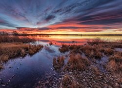 Chmury, Wschód słońca, Jezioro, Lake Chatfield, Trawa, Drzewa, Kolorado, Stany Zjednoczone