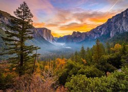 Park Narodowy Yosemite, Jesień, Skały, Drzewa, Krzewy, Mgła, Góry, Kalifornia, Stany Zjednoczone