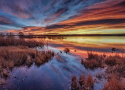 Wschód słońca, Chmury, Jezioro, Lake Chatfield, Trawa, Drzewa, Kolorado, Stany Zjednoczone