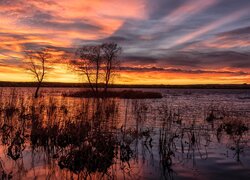 Kolorowe niebo wschodzącego słońca nad jeziorem Chatfield Lake