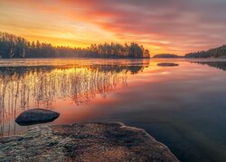Jezioro, Wetter Lake, Las, Drzewa, Zachód słońca, Szwecja