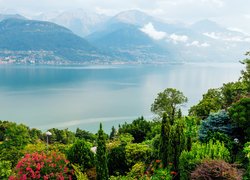 Góry, Drzewa, Ogród, Kwiaty, Jezioro Como, Lombardia, Włochy