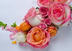 Kwiaty, Kolorowe, Róże, Listki