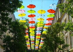 Kolorowe parasolki rozwieszone nad drzewami