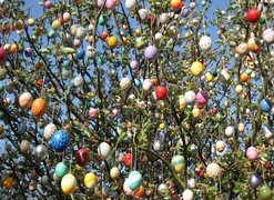 Wielkanoc, Drzewo, Gałęzie, Pisanki