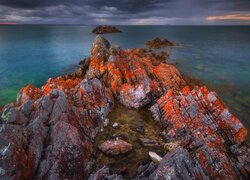 Kolorowe skały na wybrzeżu Rocky Cape w Tasmanii