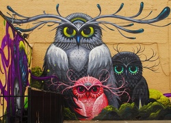 Kolorowe, Sowy, Mural, Street art