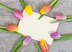 Kolorowe, Tulipany, Kartka, Deski