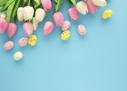 Kolorowe tulipany i jajeczka na niebieskim tle
