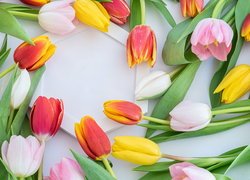 Kolorowe, Tulipany, Ramka, Jasne, Tło