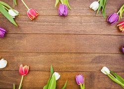Kolorowe tulipany na desce