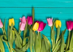 Kolorowe, Tulipany, Deski, Niebieskie