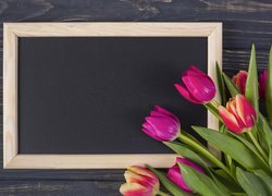 Kolorowe tulipany obok tabliczki