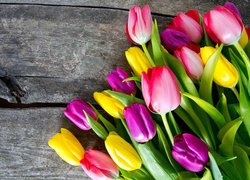 Kolorowe, Tulipany, Deski