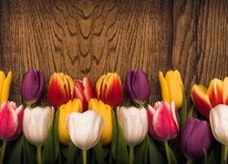 Kolorowe, Tulipany, Drewno, Deska