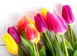 Kwiaty, Bukiet, Kolorowe, Tulipany, Drewno, Wiosna