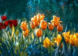 Kwiaty, Kolorowe, Tulipany, Rozmycie