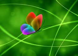 Kolorowy motyl w 2D