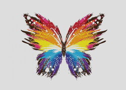 Kolorowy motyl w grafice na jasnym tle