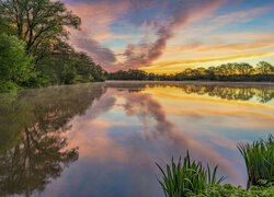 Wschód słońca, Chmury, Drzewa, Jezioro Sterenbachsee, Dolina Wittlicha, Niemcy