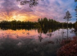 Kolorowy zachód słońca nad jeziorem i drzewami