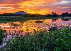 Kolorowy zachód słońca nad jeziorem Willow Lake