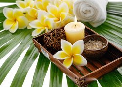 SPA, Świeca, Sól, Kwiaty, Plumeria, Liść, Taca, Ręcznik