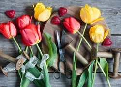 Kolorowe, Tulipany, Nożyczki, Kompozycja