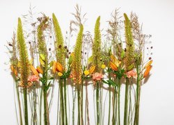 Kompozycja z lilii i roślin ozdobnych