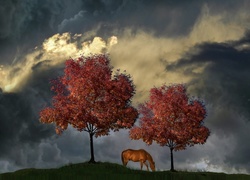 Koń pasący się na łące pomiędzy drzewami w blasku księżyca