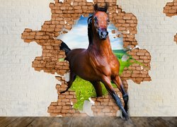 Koń przechodzący przez dziurę w murze