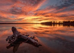 Park Stanowy Cherry Creek, Jezioro, Miasto Aurora, Kolorado, Stany Zjednoczone, Konar, Zachód słońca, Chmury