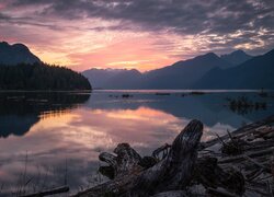 Poranek, Wschód słońca, Góry, Jezioro, Pitt Lake, Konar, Kanada