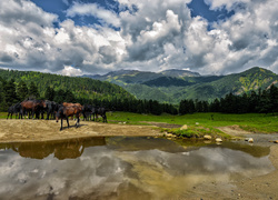 Góry, Lasy, Konie, Jezioro