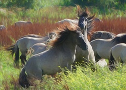 Konie, Fractalius