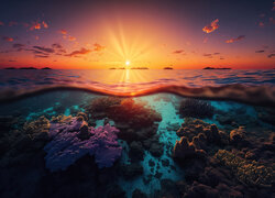 Koralowce w morzu na tle wschodu słońca