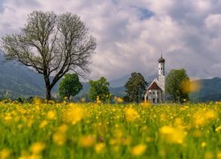Góry, Alpy, Kościół Eglise Saint Coloman, Drzewa, Łąka, Chmury, Schwangau, Region Allgau, Bawaria, Niemcy