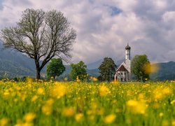 Kościół Eglise Saint Coloman pośród drzew