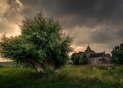 Holandia, Oosterbeek, Kościół Hervormde Kerk, Farma, Pole, Drzewo,  Niebo, Chmury